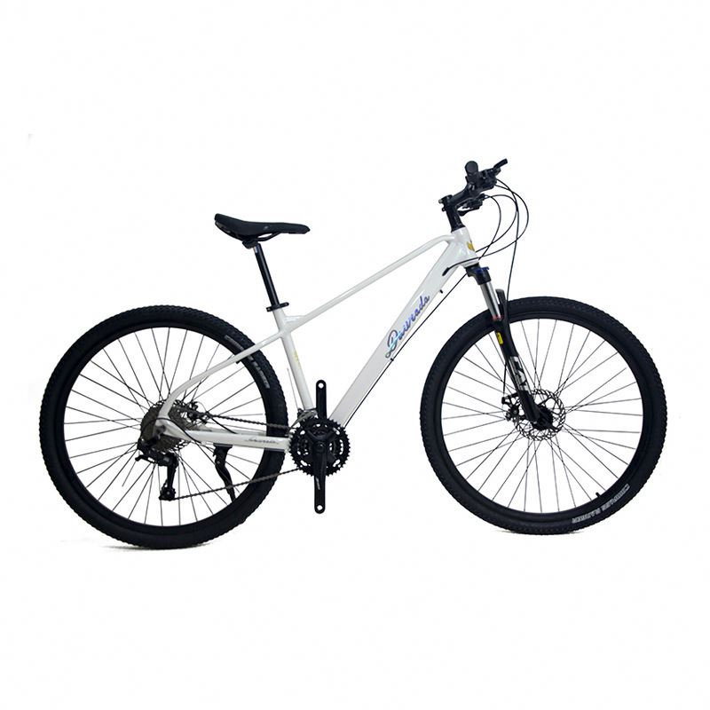 29 inch Aluminum Alloy Mountai - Mountain Biking Usa 评论和价格