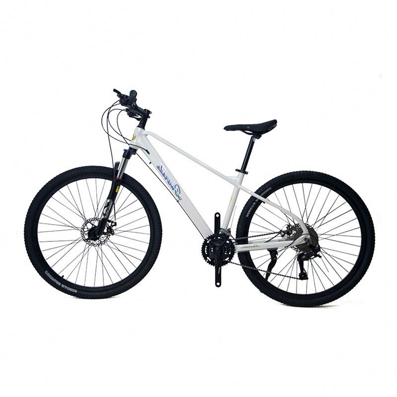 29 inch Aluminum Alloy Mountai - Mountain Biking Usa 评论和价格