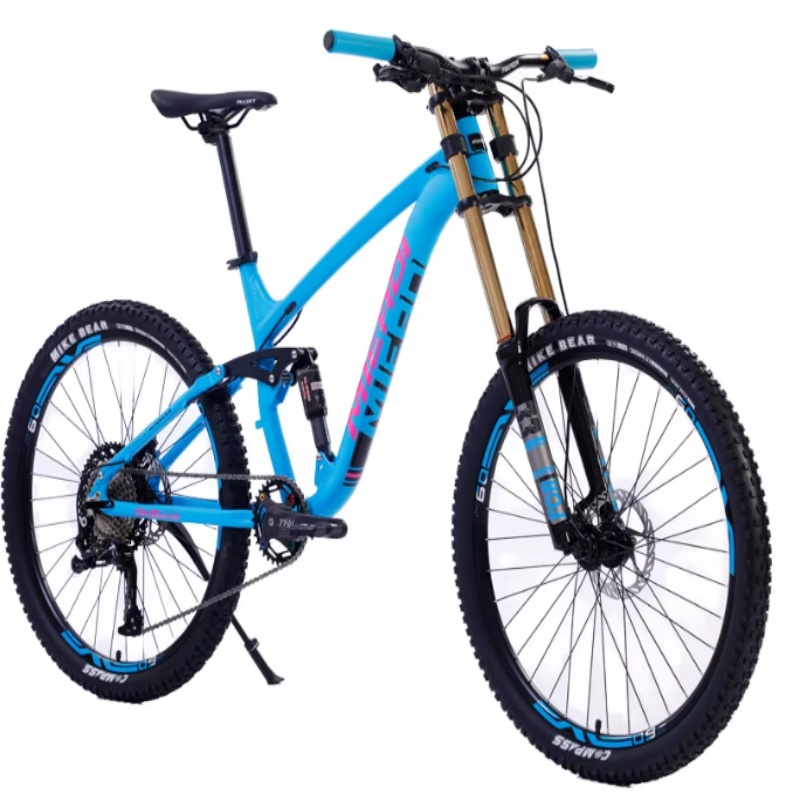 High Quality 24-Inch Dual Disc - Mountain Biking Usa 评论和价格