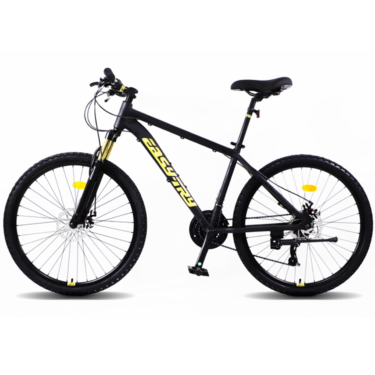 Fast Delivery Bikecmtb Bike OE - Mountain Biking Usa 评论和价格
