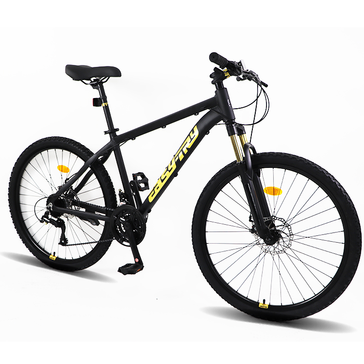 Fast Delivery Bikecmtb Bike OE - Mountain Biking Usa 评论和价格
