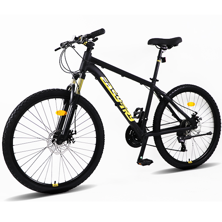 Fast Delivery Bikecmtb Bike OE - Mountain Biking Usa 评论和价格