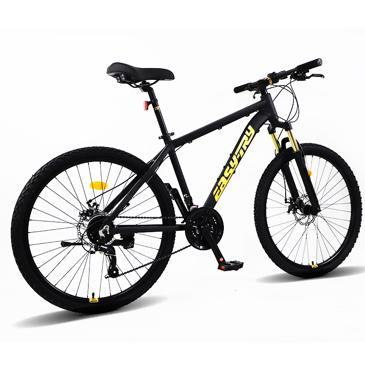 Fast Delivery Bikecmtb Bike OE - Mountain Biking Usa 评论和价格